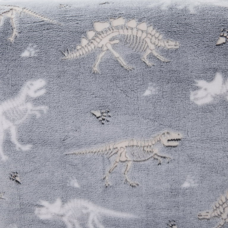 Walmart instumental dinosaur blanket