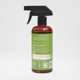AS I Am Rosemary Water 16 fl. oz., All Hair