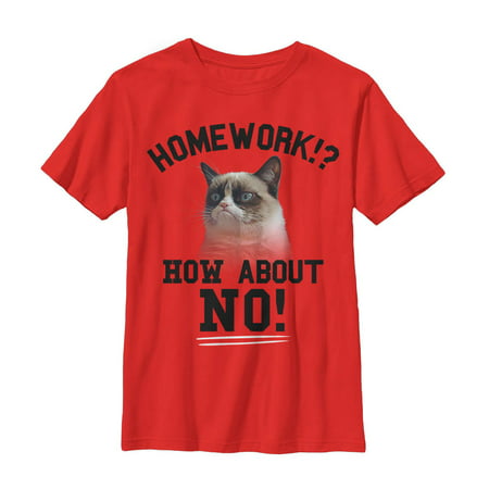 Grumpy Cat No Homework Boys Graphic T Shirt (Best Boys Winter Coats 2019)