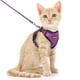 thumbnail image 1 of Set de arnés y correa para gatos Dooradar Escape Proof Purple S, 1 of 9