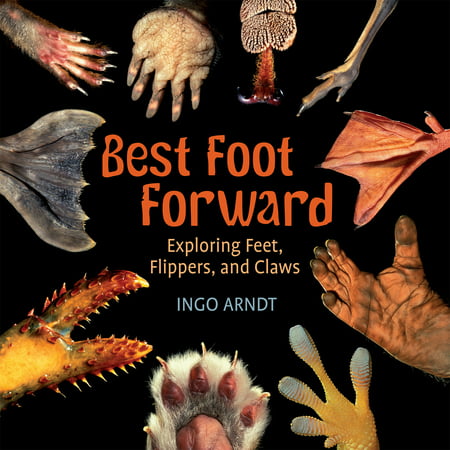 Best Foot Forward : Exploring Feet, Flippers, and (Best Foot Forward Dance Studio)