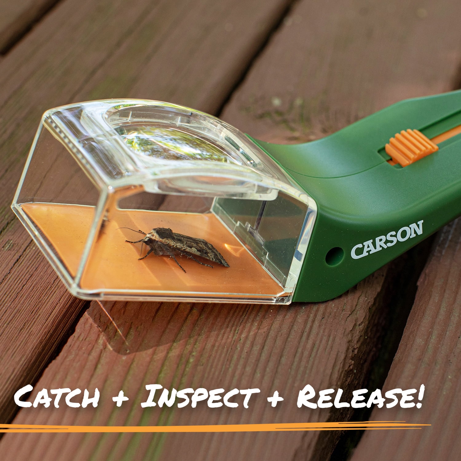 Carson BugView 5x Magnifier Quick-Release Bug Catching Tool STEM Educational Toy for Kids and Adults