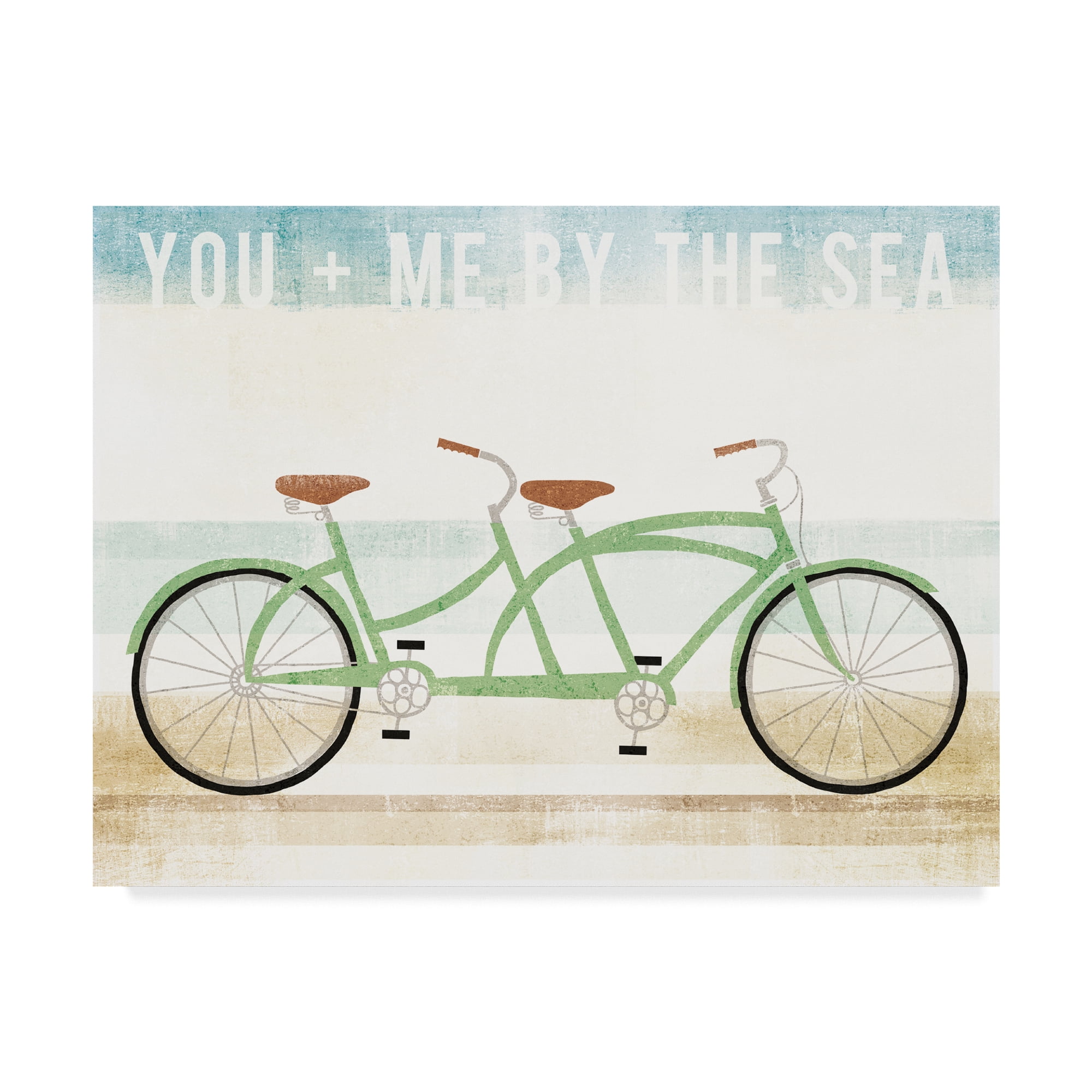 beach cruiser tandem bike