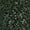 Blue, variant on Navy Blue White Gold Floral Wallpaper, Vintage Floral peel and stick wallpaper, waterproof, Home Decor for Living Room, Bedroom, Bathroom, Kitchen Cabinet, Dorm Room 17.7 * 118 in