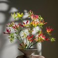 thumbnail image 2 of HJADGG Bulbes de Rothschildiana Gloriosa (Lys de Feu/lys en Flammes) - Vigne Grimpante Exotique Fleur 8 Pcs / 20 Pcs Floraisons Rouges et Jaunes Vibrantes pour Jardin et Contenants (Rouge,8), 2 of 6