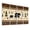 Color 3, variant on 8 Pack Art Acoustic Panels Sound Absorbing Detailed Sepia an Octopus Intricate Tentacles Ocean Elements Decorative Soundproof Wall Panels Self Adhesive for Nursery Game Room Bedroom 48"x32"