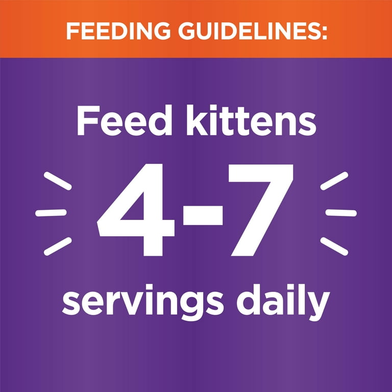 Iams kitten pate top