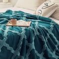 thumbnail image 4 of Manta de 50 × 60 pulgadas, manta polar ultra suave clásica con diseño de pata de gallo para todas las estaciones, mantas bohemias cálidas y acogedoras para cama, sofá, oficina, camping, 4 of 5