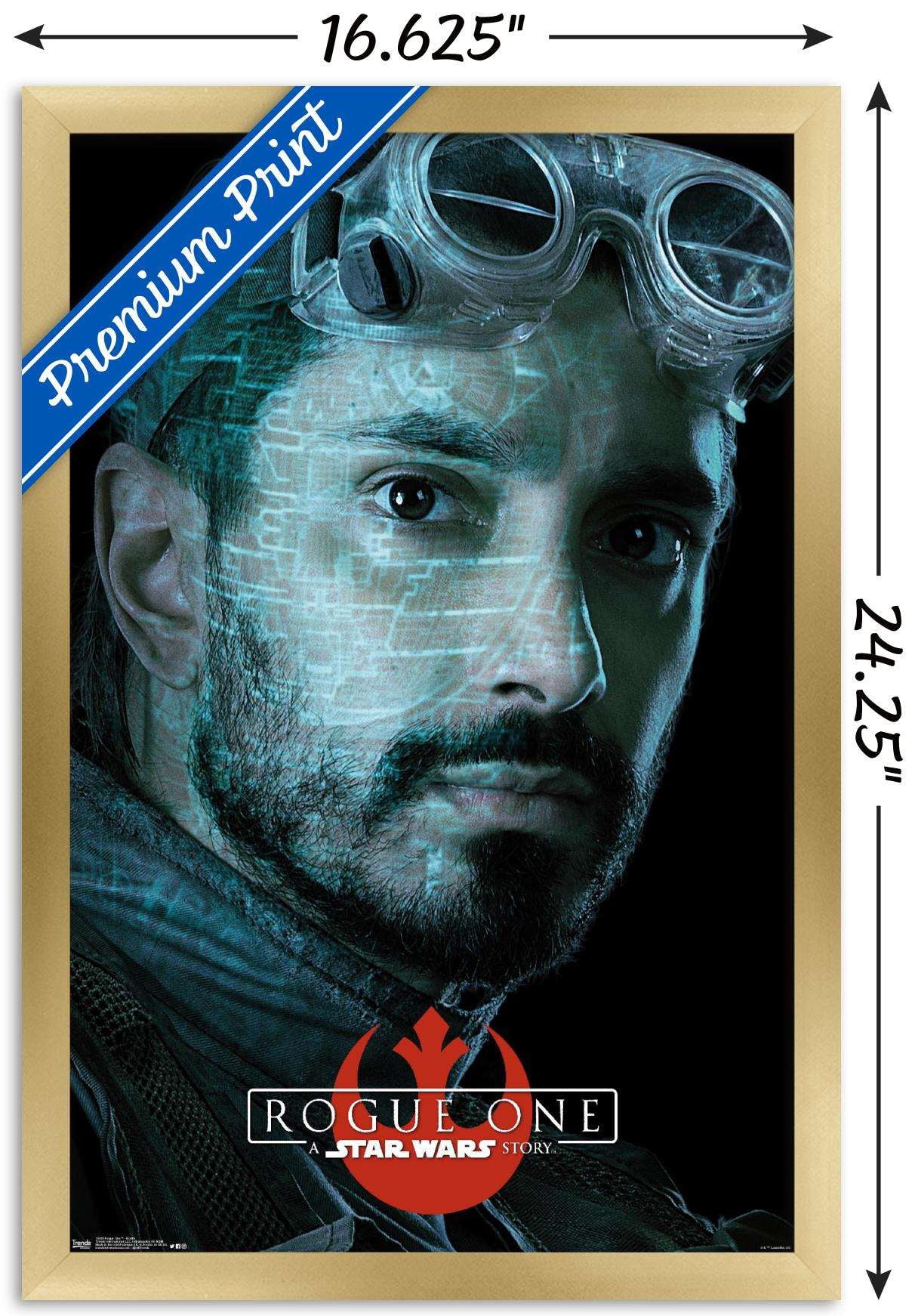 Star Wars: Rogue One - Bodhi Wall Poster, 14.725" x 22.375", Framed