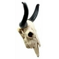 thumbnail image 2 of Ebros Large 27"Wide Longhorn Steer Cow Skull Wall Head Hanging Sculpture Plaque, 2 of 9