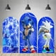 thumbnail image 2 of Fondo de Sonic con arco de doble cara, decoración para fiesta de cumpleaños de niños, fondo de fotografía azul, relámpago, poliéster, utilería para estudio, 2 of 5