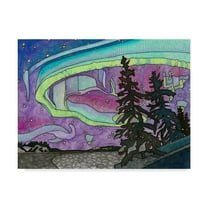 Trademark Fine Art 'The Northern Lights Background' Canvas Art by Amy Frank