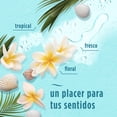 thumbnail image 4 of Aromatizante Febreze Bora Bora Aroma con Notas Frescas, Florales 230 g, 4 of 5