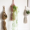 thumbnail image 7 of Odies Air Plants Holders Air Fern Macrame Plant Hanger Indoor Hanging Planter Basket for Tillandsias Display Air Plant Stand, Boho Home Decoration Gift Idea,Blue,15.7 Inch, 7 of 7