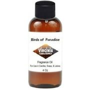 Bird of Paradise Type Fragrance Oil 4 oz Bottle for Candle Making, Soap Making, Tart Making, Room Sprays, Lotions, Car Fresheners, Slime, Bath Bombs, Warmers