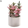 thumbnail image 1 of HEVIRGO Mini Simulation Plantes en Pot Finition Fine d'Exécution Vive Maison de Poupée Accessoire Maison de Poupée Décor Simulation Plantes en Pot pour Enfants, 1 of 10