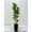 Black, variant on EastVita Artificial Qinye Banyan Tree with Black Planter 5 FT Tall Fake Tree with Natural Wood Trunk for Home Decor Faux Ficus Tree Fake Moss for Indoor Office Living Room