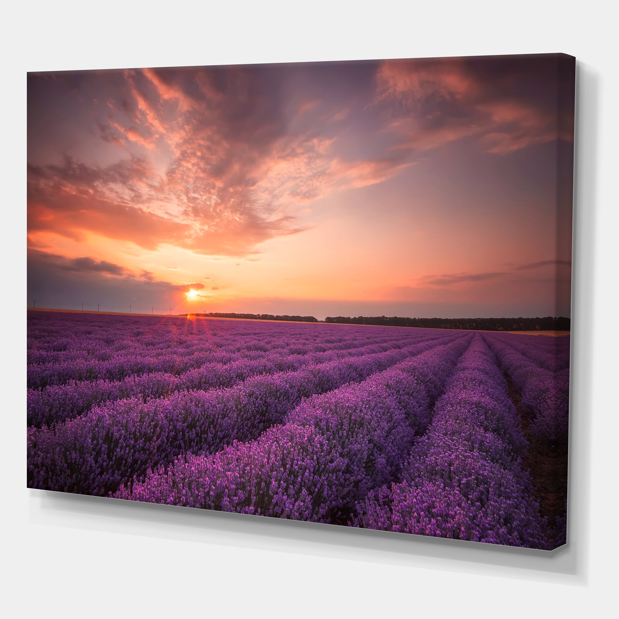 Designart ' Dramatic Clouds and Sunrise Over Lavender Field XII ' Farmhouse Canvas Wall Art Print