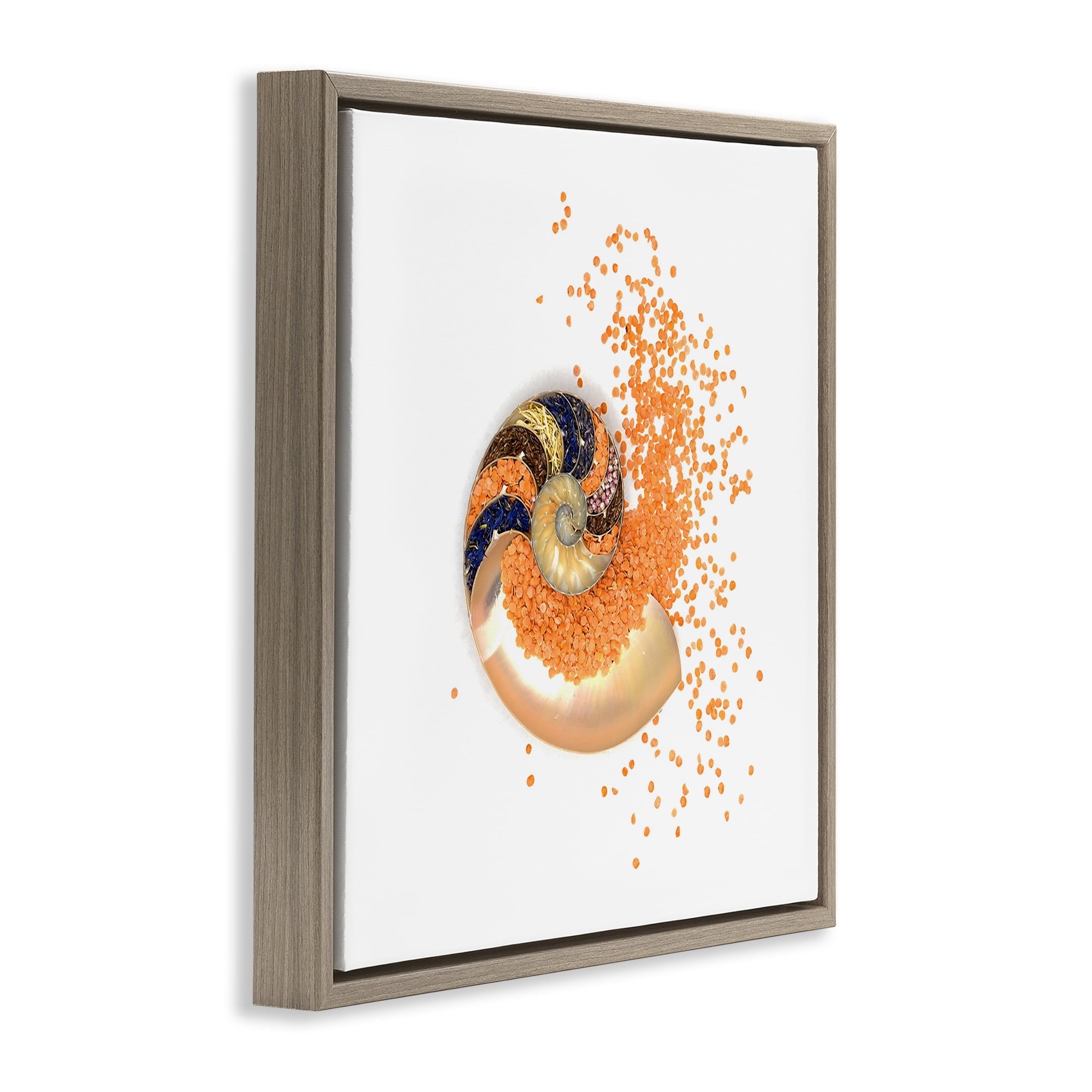 Stupell Industries Orange Nautilus Spiral Brown Framed Floater Canvas Wall Art, design by Beth Adoette