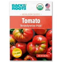 Back to the Roots Organic Tomato 'Brandywine Pink', 1 Seed packet
