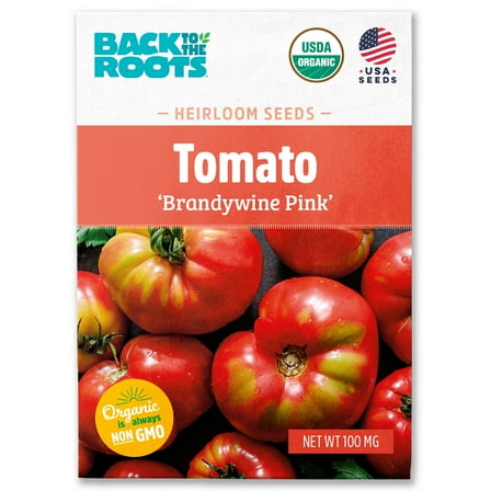 Back to the Roots Organic Tomato 'Brandywine Pink', 1 Seed packet