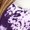 Z02_Purple, variant on Kaprioy Christmas Shirts for Women 2025 Vintage V Neck Cute Shirts Xmas Graphic Tees Long Sleeve Winter Clothing Purple, S