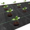 thumbnail image 4 of Weed Barrier Landscape Fabric with 3 Inch Planting Holes,Weed Barrier Fabric 3.3 Ft X 11.8 Ft Weed Block Gardening Mat, 4 of 5