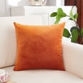 thumbnail image 2 of Cinvoph Velvet Throw Pillow Soft Solid Velvet Decorative Pillow for Sofa Chair Bed Waist Back Support Home Decor 18", 2 of 6