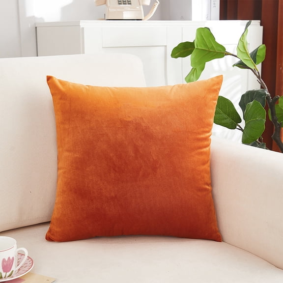 Velvet Decorative Throw Pillow,Soft Square Cushion Case Solid Luxury 18x18 Inch Pillow for Living Room Couch Bed Sofa Outdoor Home Decor