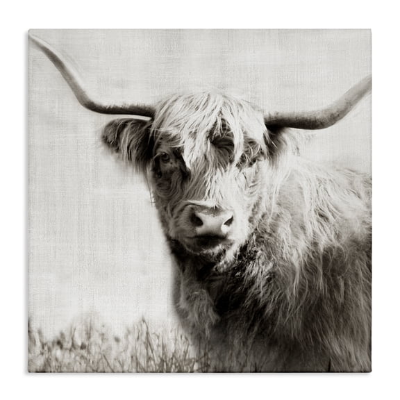 Stupell Industries Black & White Highland Cow Animals Painting Wrapped Canvas Art Print Wall Art, 17 x 17