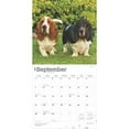 thumbnail image 4 of Basset Hounds 2025 12 X 24 Inch Monthly Square Wall Calendar Plastic-Free, (Paperback), 4 of 9