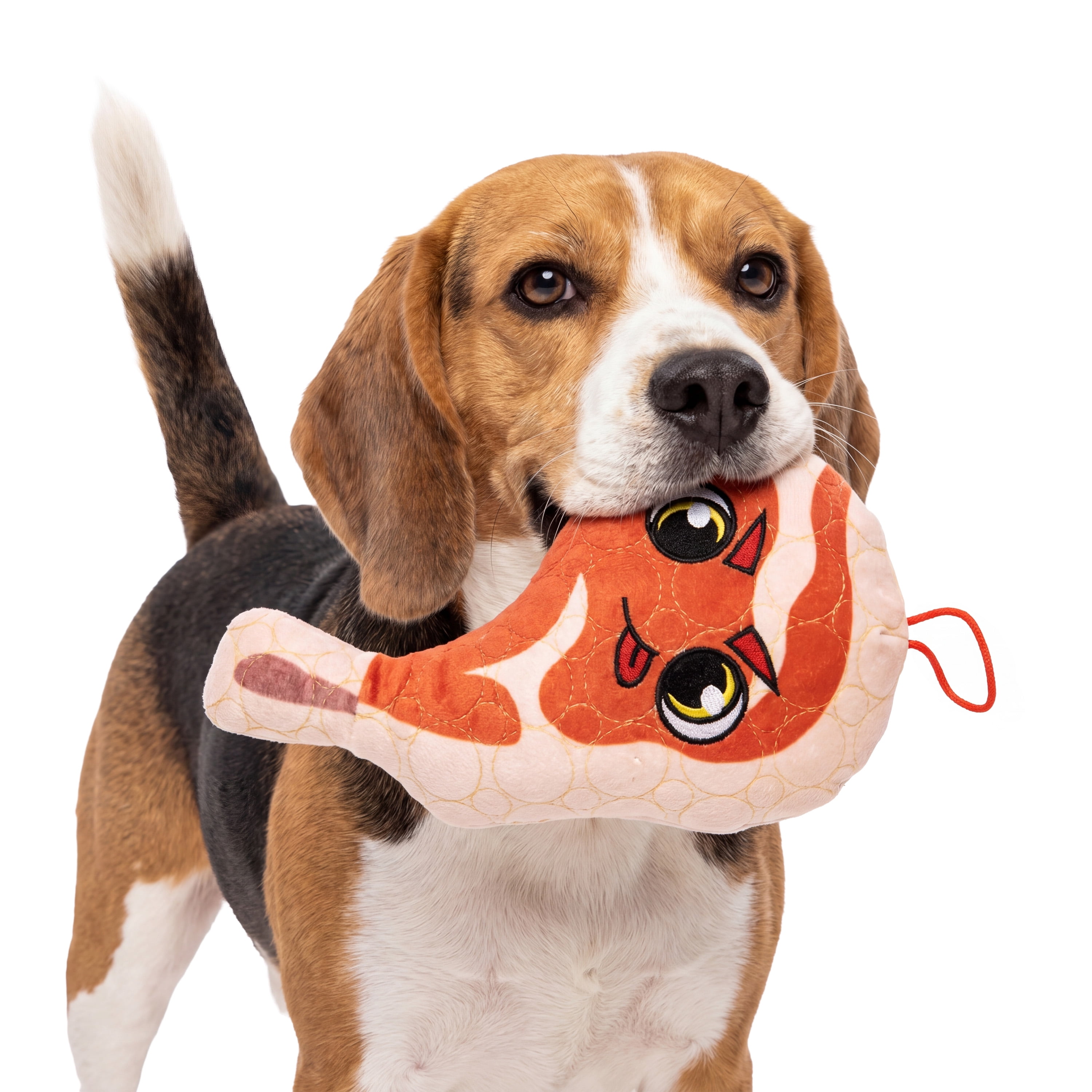 Bite Force Durable Steak Shaped Plush Dog Toy, Multi Layered and Reinforced Dog Toys for Aggressive Chewers