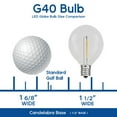thumbnail image 5 of Novelty Lights 1W G40 Warm White Globe LED Light Bulb, Shatterproof, 5 of 8