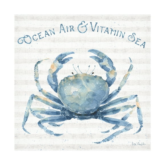 Trademark Fine Art 'Nautical Life X' Canvas Art by Lisa Audit