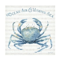 Trademark Fine Art 'Nautical Life X' Canvas Art by Lisa Audit