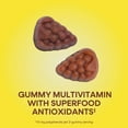 thumbnail image 6 of Nature’s Way Alive! Women’s Gummy Multivitamin, Mixed Berry Flavored, 60 Count, 6 of 11