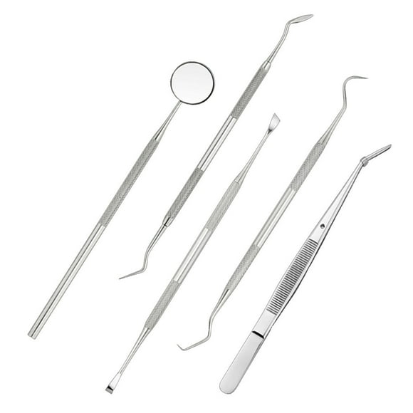 Dental Tools Tool Kit 5Pcs Stainless Steel Dental Hygiene Kit Tooth Scraper Probe Tweezers Tool