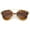 Tortoise-Gold / Amber, variant on sunglassLA - High Fashion Two-Toned Pantos Crossbar Tinted Lens Aviator Sunglasses - 52mm