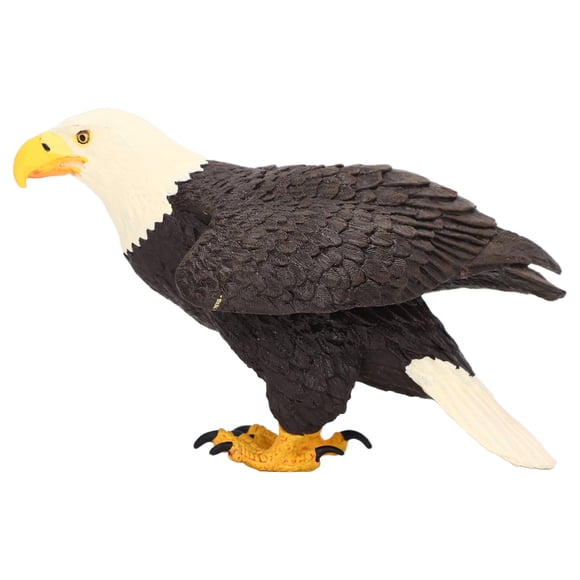 Bald Eagle Ornament, Bald Eagle Decoration Educational Props Hand Painted Rich Details For Bedroom