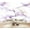 Color 5, variant on Peel and Stick Wallpaper Wall Murals Fairies Butterflies Nightshade Flowers Forest Art 100"H x 144"W Removable PVC Wall Paper Self-Adhesive Wall Paintings Art Decor for Bedroom Living Room