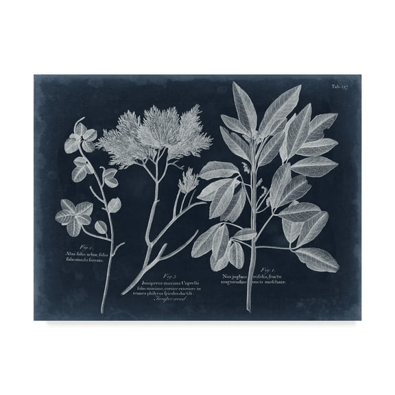 Trademark Fine Art 'Foliage on Navy VI' Canvas Art by Vision Studio