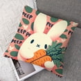 thumbnail image 7 of Pillow Pink Pillow Covers Peep Throw Pillow Covers Black and White Happy Spring Indoor Home Decoration for Sofa Couch Bed, 7 of 7