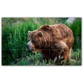 thumbnail image 1 of Picture-Tiles.com: Bear Ceramic Tile Wall Mural WAL500120-53XL. 60"W x 36"H using (15) 12" x 12" Ceramic Tiles-Satin Finish, 1 of 3