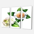 thumbnail image 3 of Designart ' Ancient White Camellia Flowers With Green Leaves ' Traditional Canvas Wall Art Print, 3 of 3