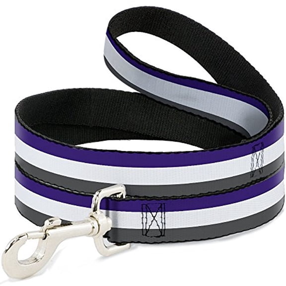 Buckle-Down "Stripes Purple White Gray" Dog Leash