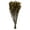 Aspen Gold, variant on Vickerman 16-22" Natural Cotton Phylica Flower, 4-5 oz Bundle, Preserved