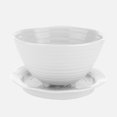 thumbnail image 1 of Bol et Support à Baies Sophie Conran par Portmeirion - Blanc, 1 of 5