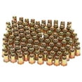thumbnail image 4 of LHCER 100Pcs Acier Rivet Écrou M10 Couleurplaqué Zinc Plat Tête Fileté Insert Écrousert Fixation Matériel, 4 of 8