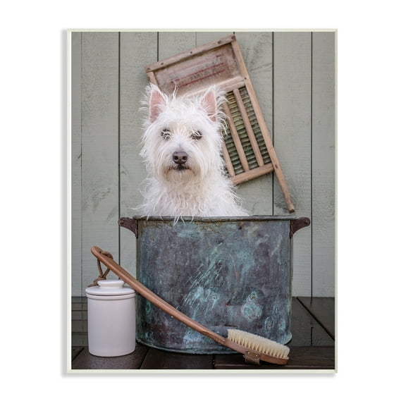 The Stupell Home Decor Collection Ready for a Bath Little White Dog in a Wash Tub Photograph Wall Plaque Art, 10 x 15
