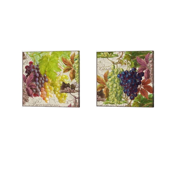 Vintage Fruits Grapes by Cora Niele Canvas Art Set of 2 14 inch X 14 inch Each